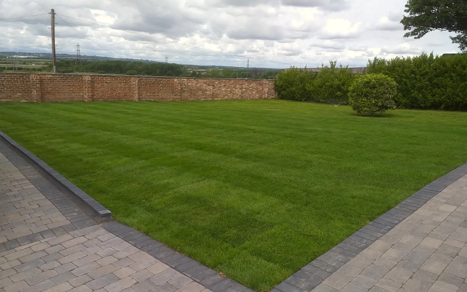 A newly laid lawn in a back garden, edges trimmed
